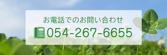 お電話でのお問い合わせ TEL054-267-6655